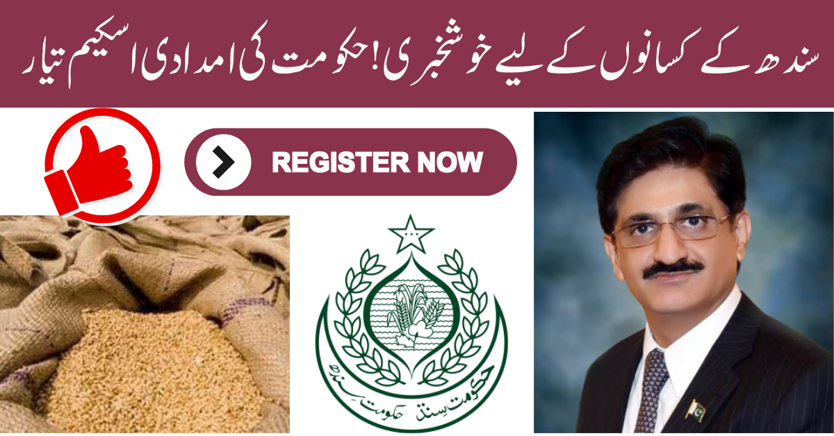 Sindh Introduces Wheat Growers Relief Scheme